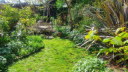 Our green garden space