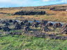 Peat (turf) cutting still happens