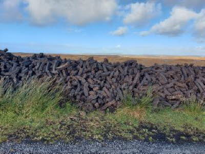 Stacked turf, drying