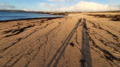 shadows